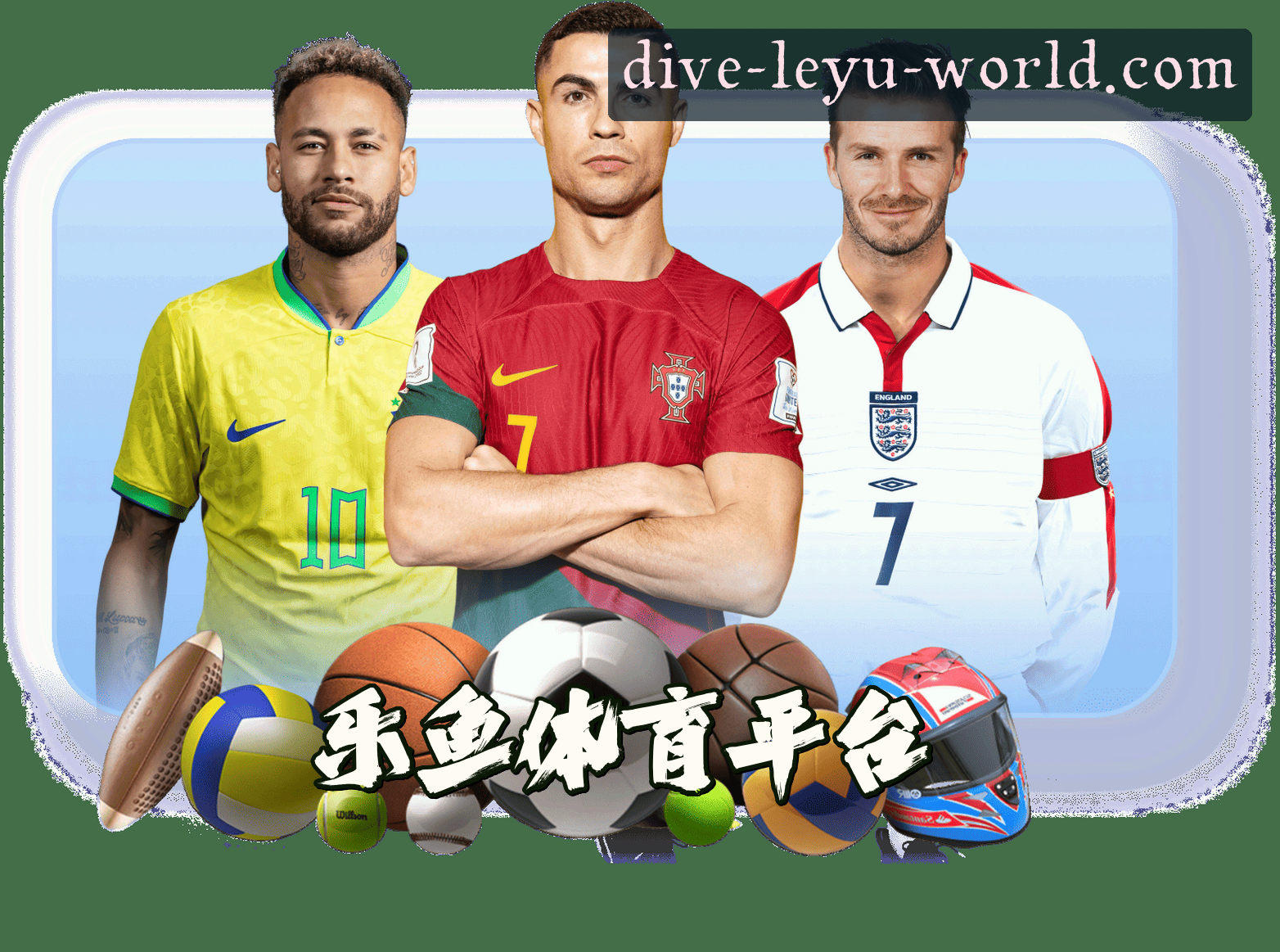 平台简介